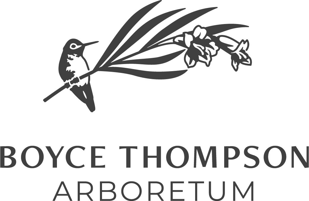 Logo Image for Boyce Thompson Arboretum
